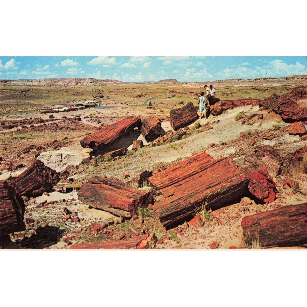 Petrified Forest National Monument Arizona Vintage Plastichrome Postcard Petley